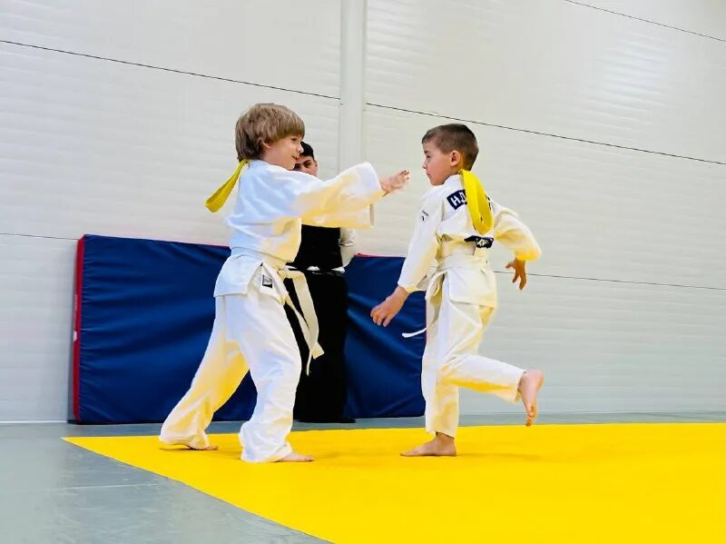 Атмосфера борьбы. Как уменьшить загрязнения. Атмосфера дзюдо. Атмосферное загрязнение. Дзюдо.