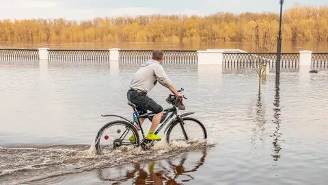 Уровень сожа гомель 2024 сегодня