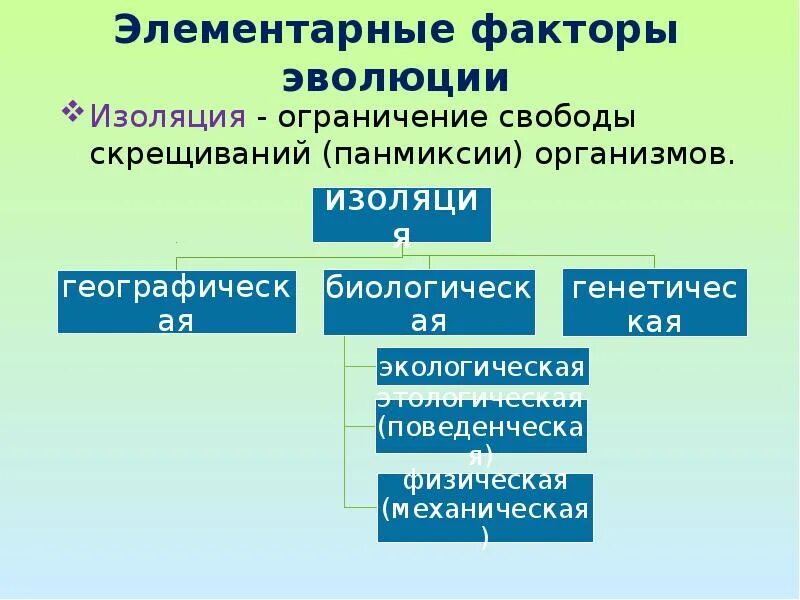 Многообразие элементарных эволюционных факторов. Элементарные факторы эволюции. Элементарные эволюц факторы. Элементарные эволюционные факторы. Элементарные эволюционные факторы таблица.