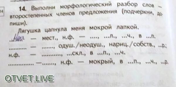Разбор слова мокрого. Морфологический разбор слово мркрые. морфологический разбор слова влажным. морфологический разбор мокрые. морфологический разбор слова лапками.