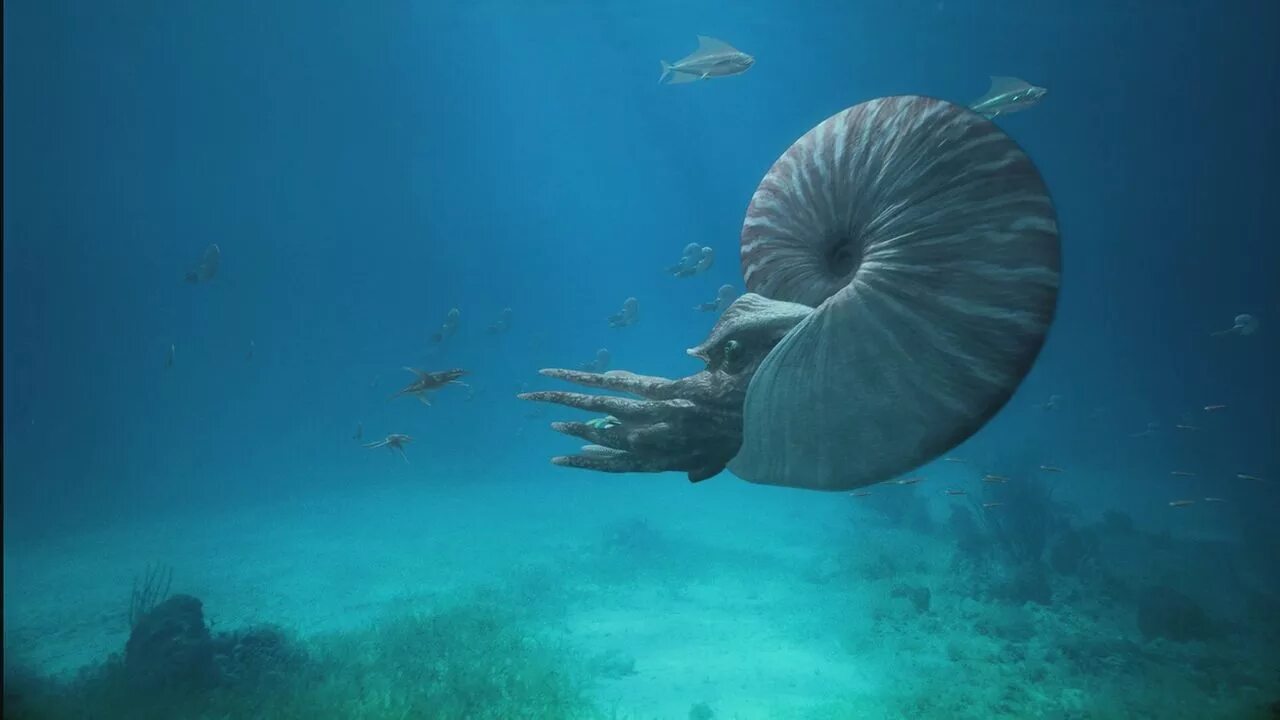 доисторические морские животные. морские чудовища и кораблекрушения. мегалодон мир юрского периода.