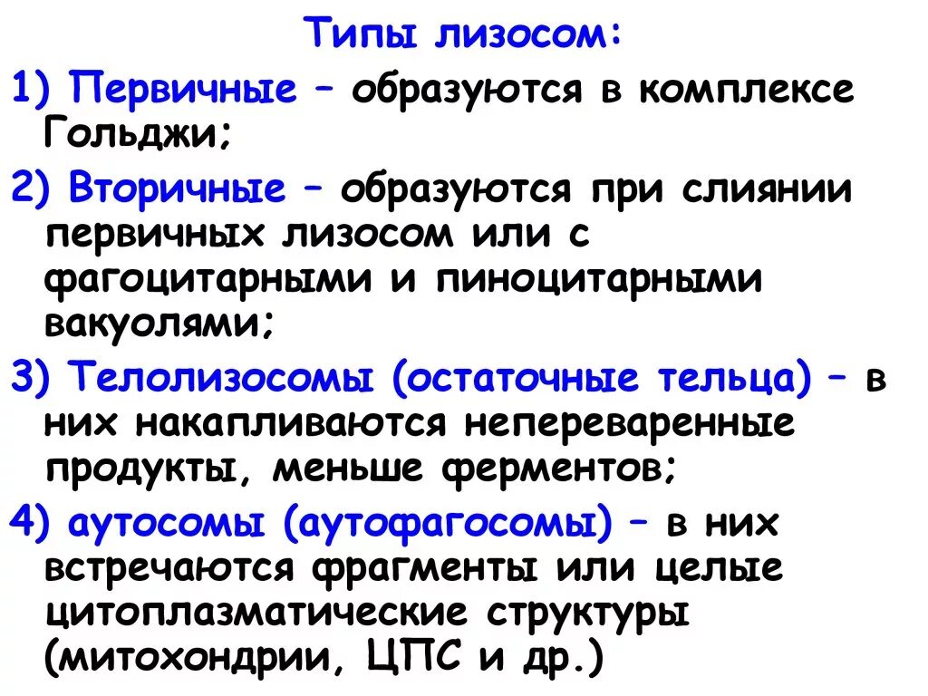 Сливается с лизосомами. Классификация лизосом. Лизосомы их классификация. Лизосомы классификация и строение. Лизосомы классификация структура и функции.