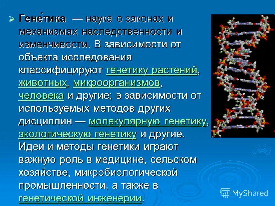 Генетика человека 10 класс биология презентация. Генетика презентация. Изучение механизма наследственности. Изучение механизма наследственности конспект. Изучение механизма наследственности кратко.