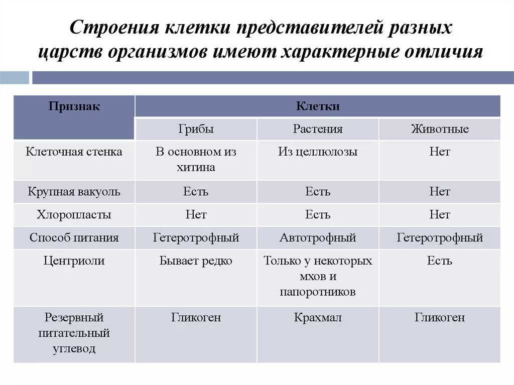 Различия строения клеток. Строение клеток разных Царств. Сравнение клеток различных Царств эукариот. Сравнительная таблица клеток бактерий растений и животных. Отличия клеток Царств таблица.