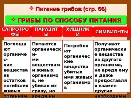 Сообщение о способах питания