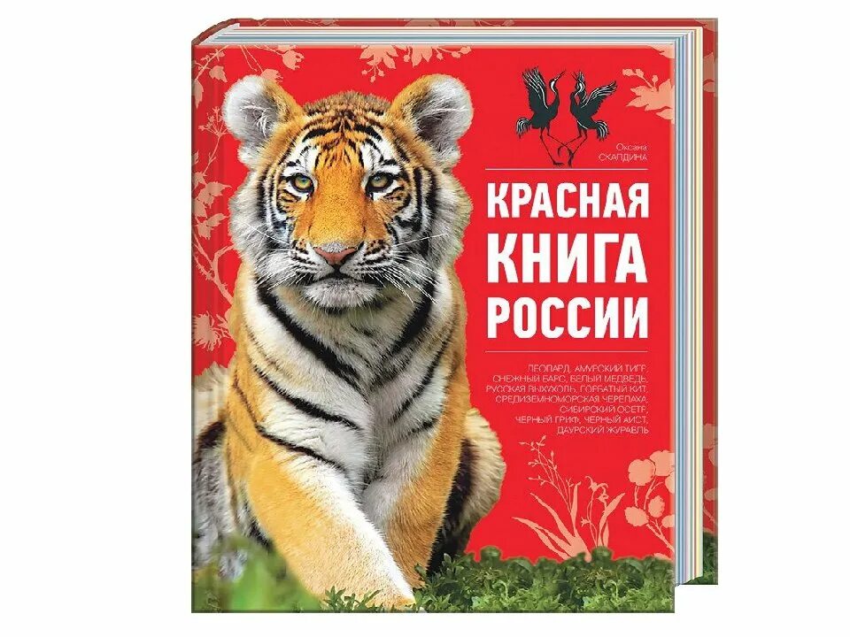 Великая красная книга. Красная книга. Красная книга России. Красная книга для детей. Красная книга России. Животные.