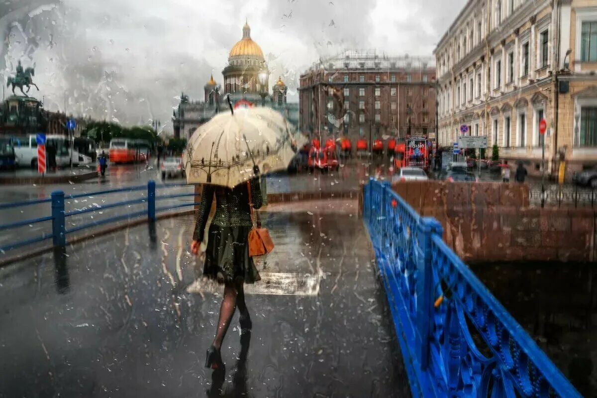 Промозглый Питер. Дождливый Питер. Санкт-Петербург дождь. Дождь в Петербурге.