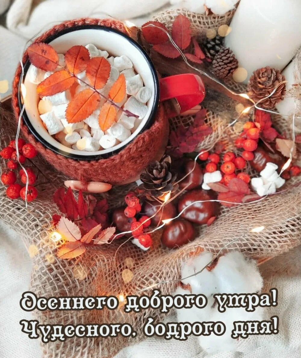 Утра бодрого дня. Чудесного осеннего утра. Бодрого доброго утра. Доброе осеннее утро пятницы. Доброго бодрого дня.