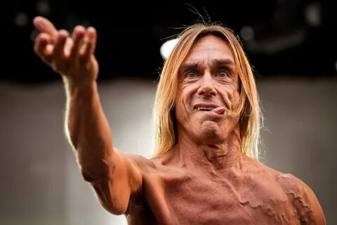 Iggy pop википедия