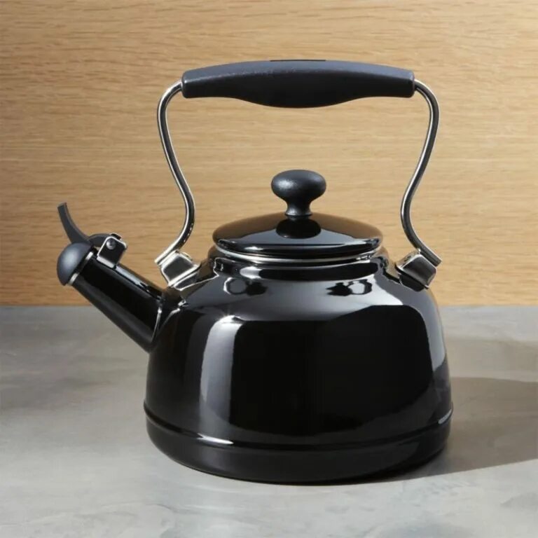 Купить качественный чайник. Tea kettle чайник японский металлический. Чайник Zepter Whistling kettle a-pd31. Чайник для газовой плиты в стиле ретро. Чайник в ретро стиле.