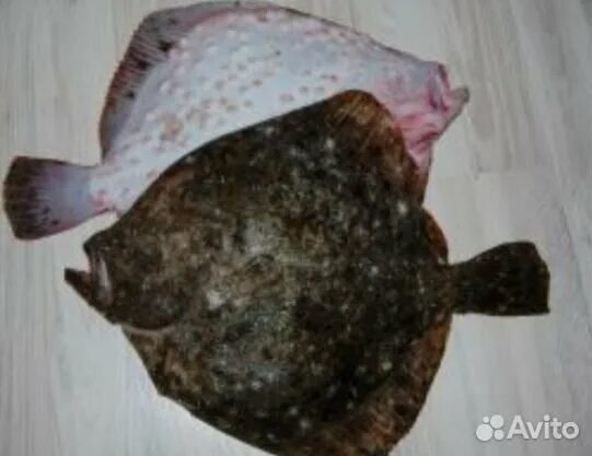 3 простых и вкусных рецепта из камбалы Рыба моей мечты Дзен