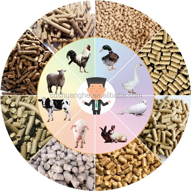 Можно feed. Корм animal world. линия по производству корма для животных. animal feed production. feed animals.