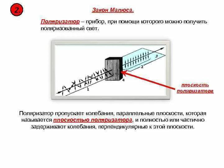 Поляризованный свет аппараты. Закон малюса для поляризатора. поляризатор прибор пропускающий колебания. прибор (не поляризатор), дающий линейно-поляризованный свет.. поляризационные приборы закон малюса.