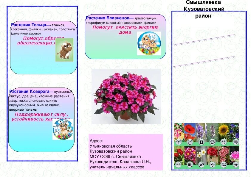 Буклет цветы. Буклет на тему цветы. Брошюра цветочного магазина. Буклет цветочного магазина.