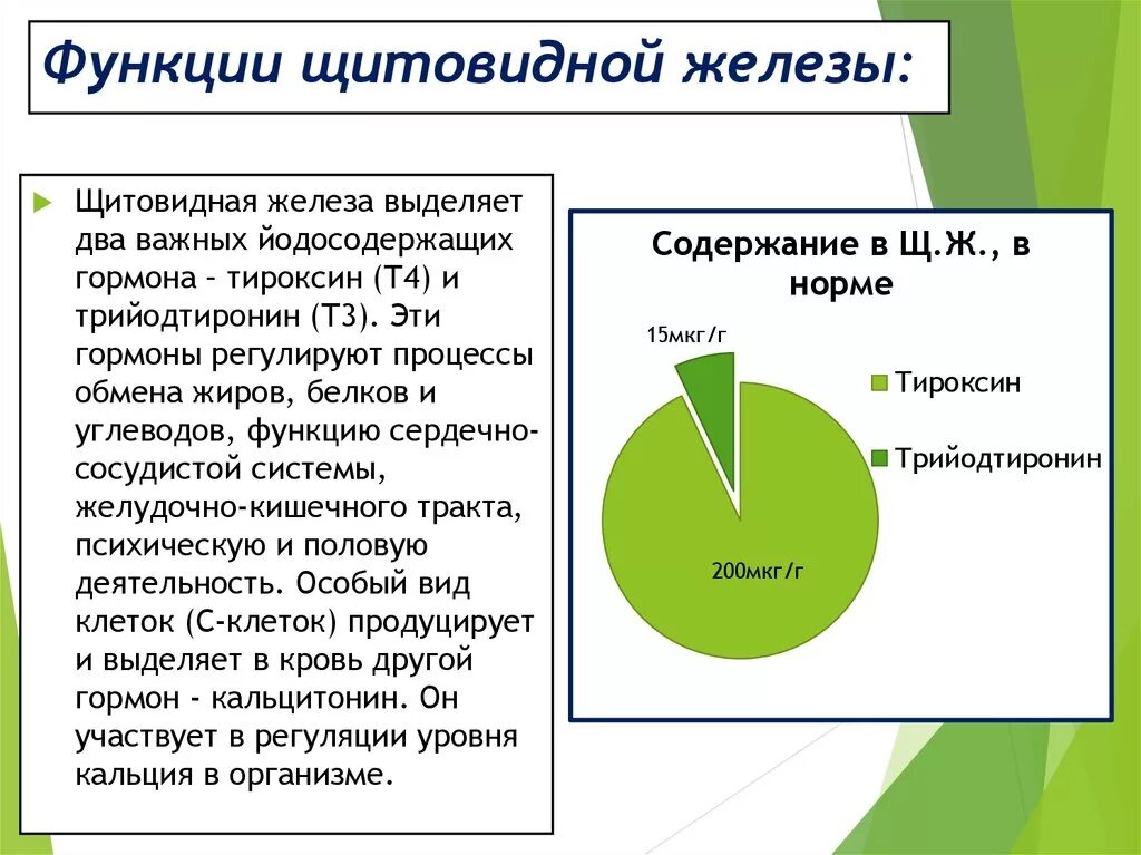 Функции щитовидной железы в организме человека. Функции выполняемые гормонами щитовидной железы. Функции щитовидройжелезы. Щитовиднаяжелезы функции.