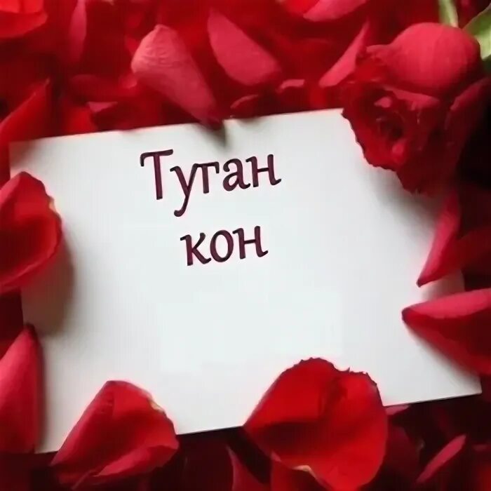 Уразова туган конен. Туган кон.