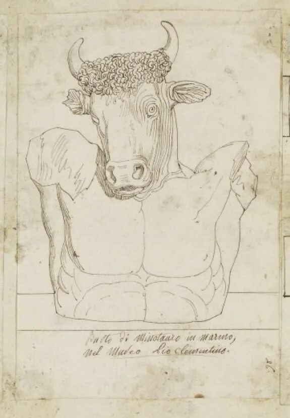 Минотавр дали. Обложка журнала минотавр. Минотавр днд 5. Минотавр дали. Бык в художественном музее.