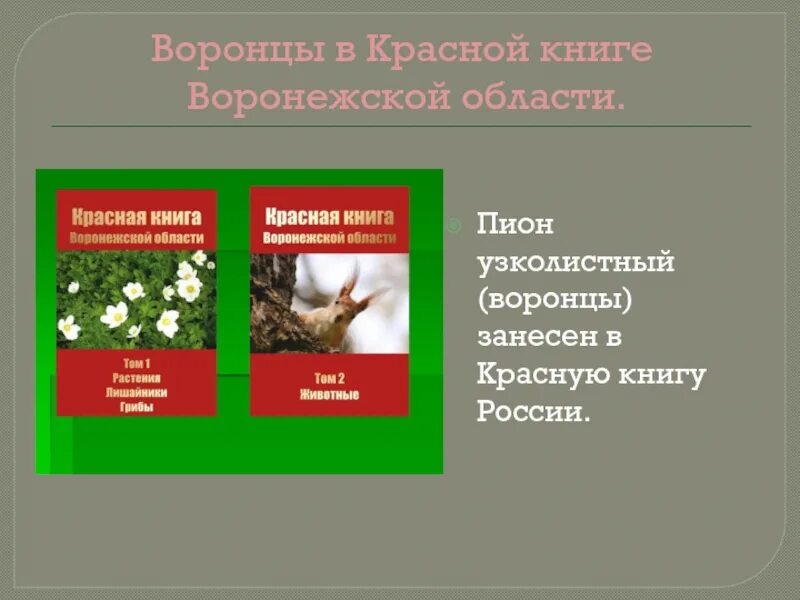 Животные Воронежской области занесенные в красную книгу. Красная книга Воронежской области книга. Грибы занесенные в красную книгу Воронежской области. Растения и животные занесенные в красную книгу Воронежской области.