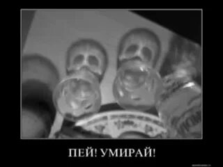 Пьешь помрешь не пьешь помрешь. Пьешь помрешь не пьешь помрешь