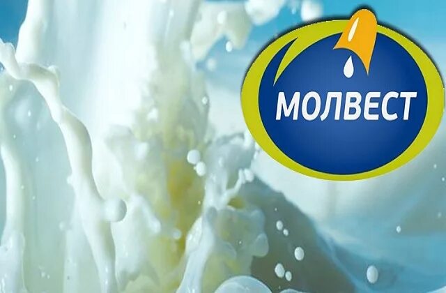 Молвест тендеры. Компания молвест. ао «молвест» логотип. молвест воронежский молочный комбинат. компания молвест воронеж.