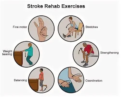 Stroke Rehabilitation. Ischemic stroke Rehabilitation. Rehabilitation Post stroke. Stroke перевод. Should post