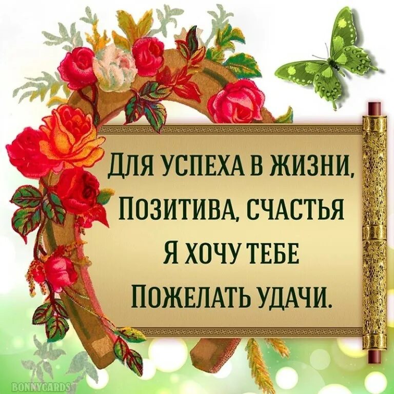 С днем рождения ваша мудрость