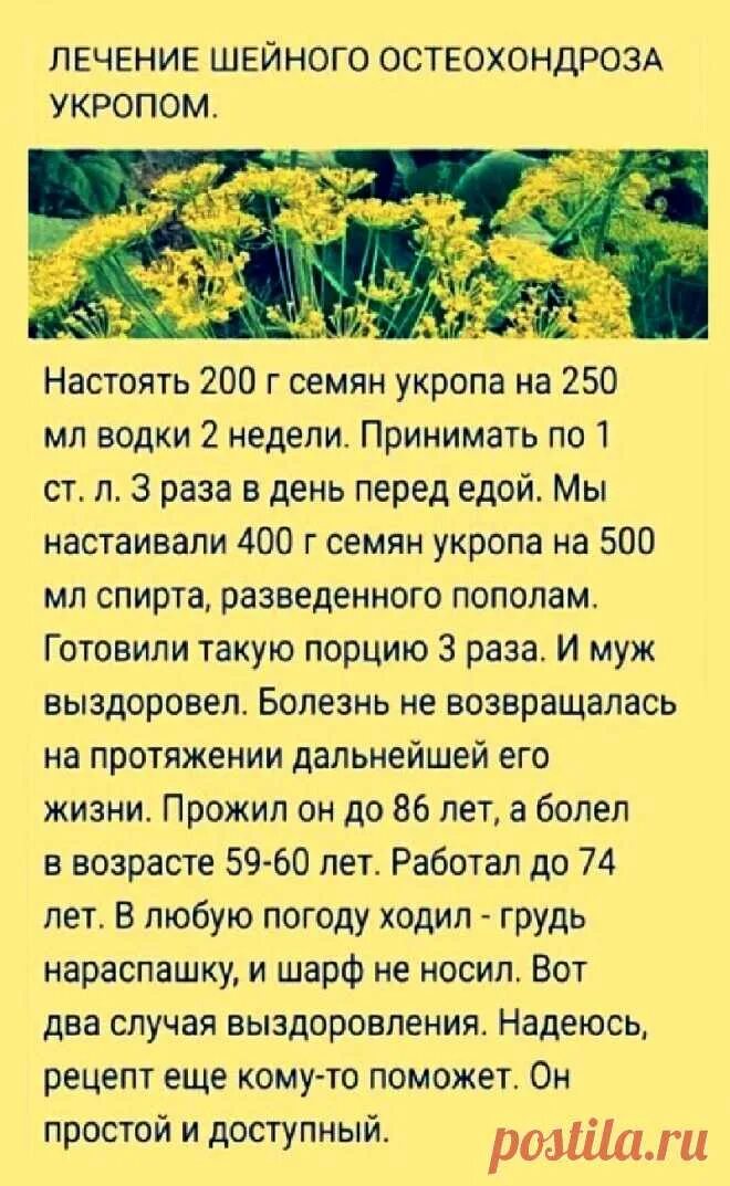 Укроп от кашля. Семена укропа при остеохондрозе. Лечение шейного остеохондроза укропом. Лечение семенами укропа. Лечение хондроза шейного укропом.