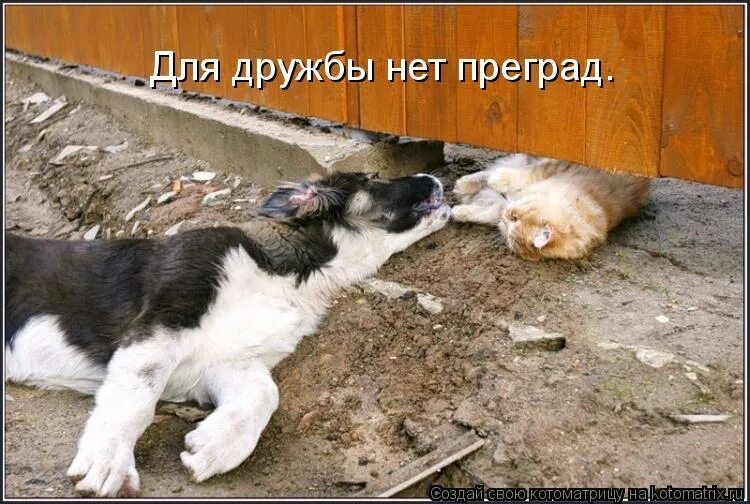 Препятствия на пути к цели. Демотиваторы со смыслом. У любви нет преград цитаты. Преграда к цели. Преград нет логотип.