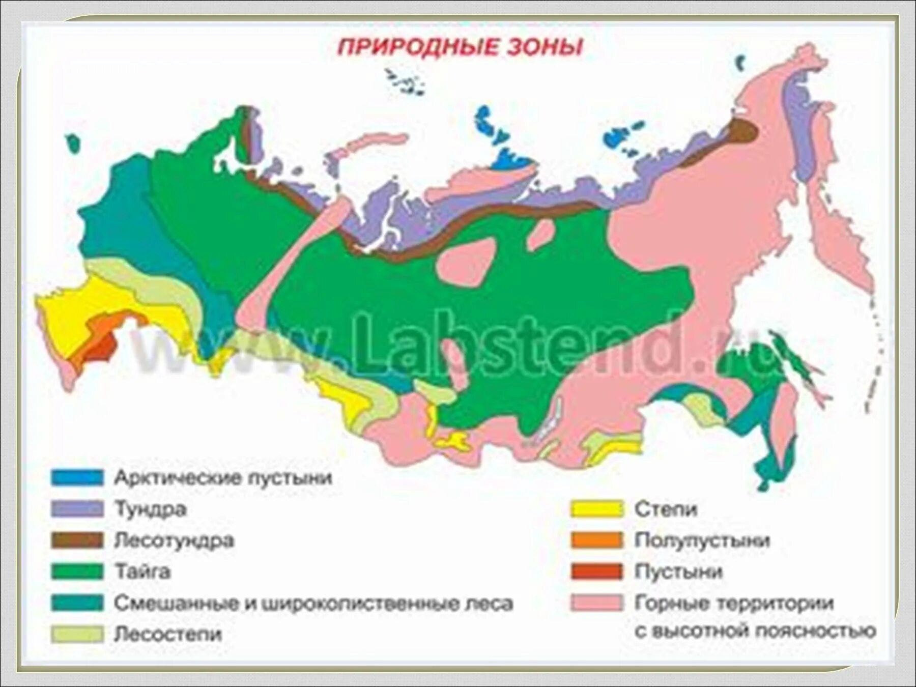 Характеристика арктических пустынь и тундры. Арктическая пустыня тундра лесотундра на карте. Характеристика арктических пустынь тундры и лесотундры. Зона арктических пустынь на контурной карте. Арктические пустыни специализация растениеводства.