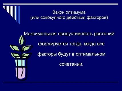 Максимальный фактор