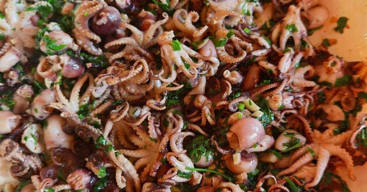 Осьминожки на гриле. Закуски из осьминога. Осьминог приготовленный. Мини осьминожки. Жареный осьминог.