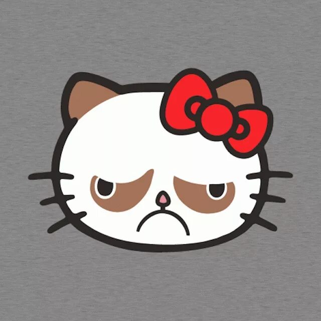 Hello i cat