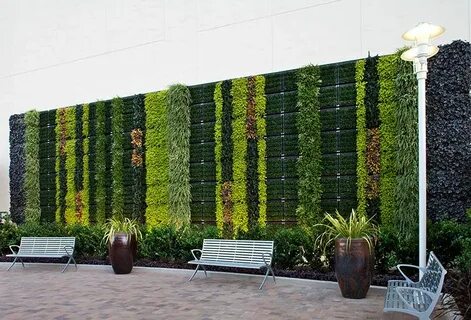 Plants company