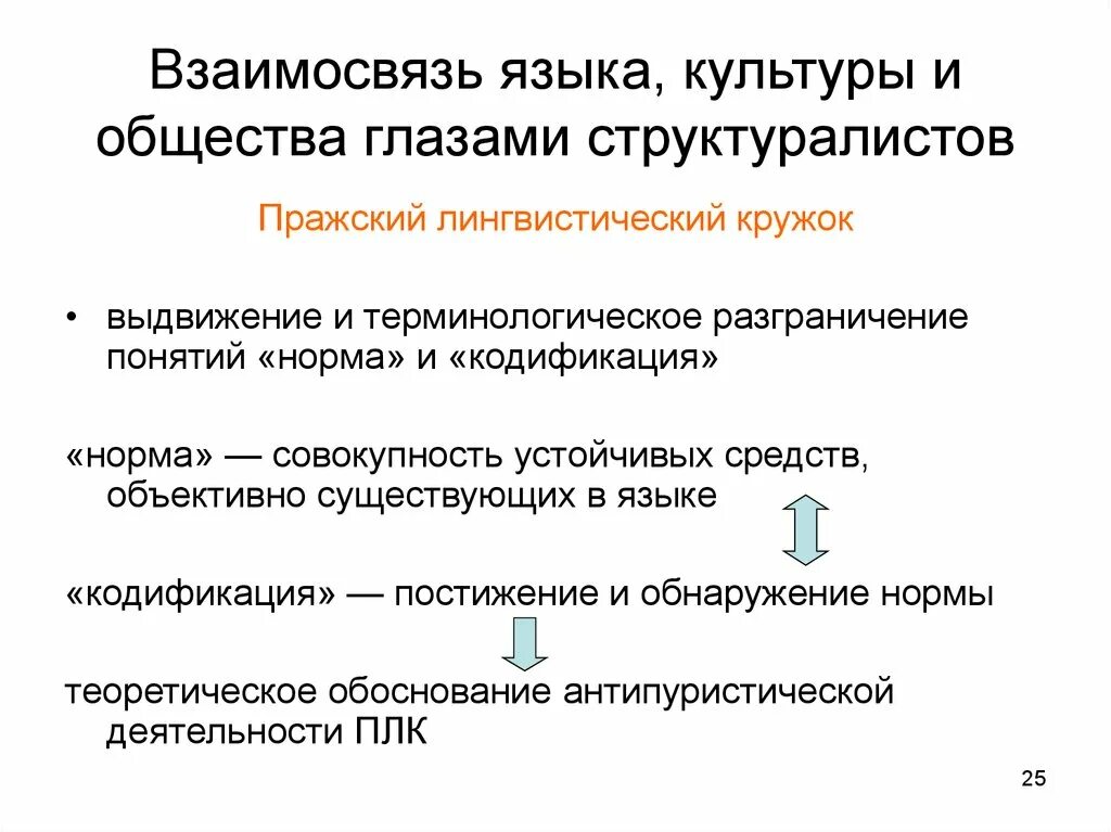 4 язык и общество. Взаимосвязь языка и общества. Взаимосвязь языка и культуры. Соотношения языка и общества. Соотношение языка и культуры.