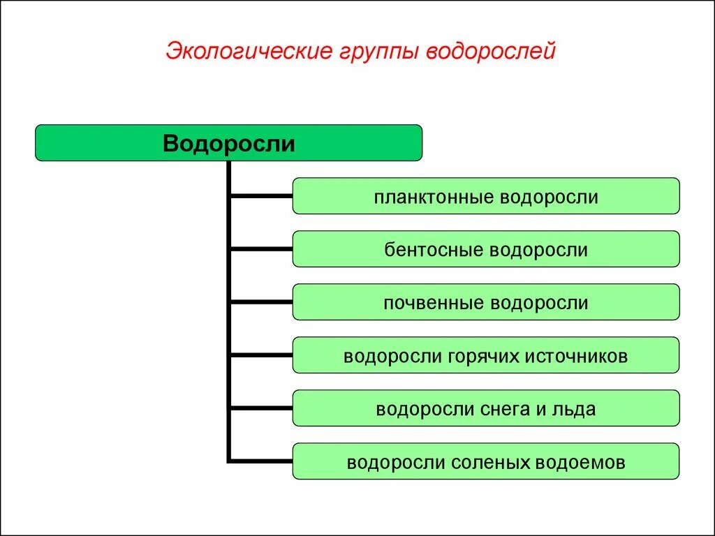 Экологические группы водоросмле й. Экологические группы водорослей. Перечислите экологические группы водорослей. Экологические группы водорослей таблица. Экологические группы экология