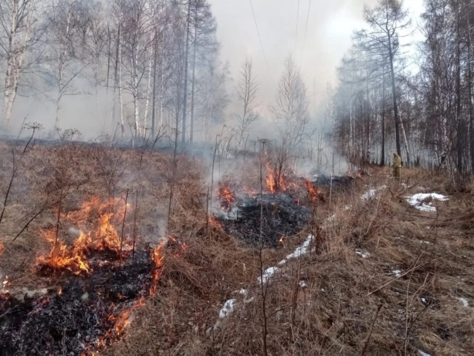 Подготовка к летнему пожароопасному периоду. Пожар весной. Пожар в лесу весной. Весенние Лесные пожары. Пожароопасный период в лесу.