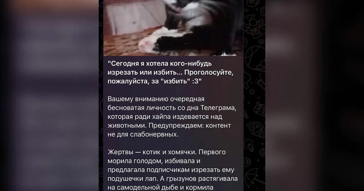Девочка живодерка Краснодар. Петиция остановите издевательство над кошками в приложении