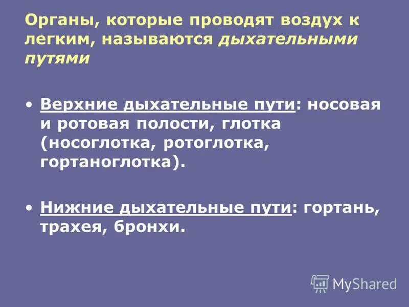 Экзамен по геодезии вопросы и ответы. Ответы на тест надпись. Тест по геодезии с ответами. Контрольная работа по геодезии для студентов. Тест по геодезии с ответами.
