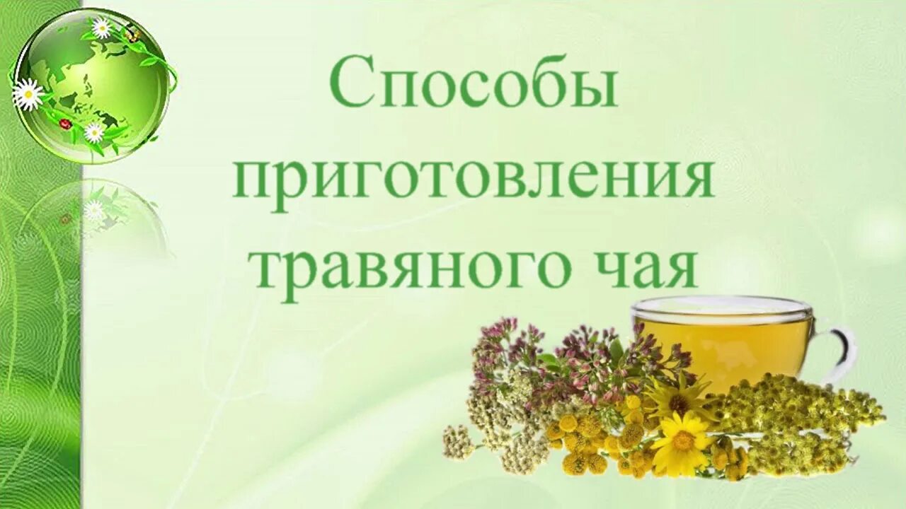 Школа фитотерапии. Травник головков. Школа фитотерапии. Нетрадиционная медицина. Сушеные лекарственные травы.