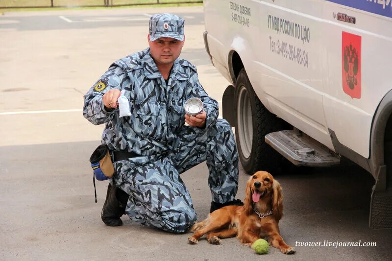 Кинолог с собакой в крокусе. Кинологический центр ФТС. Центральная таможня Кинологический центр ФТС России. Кинологическая служба полиции.