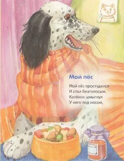 Пес мой давно издох
