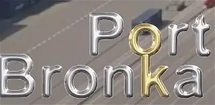 Веб портал бронка. Бронка логотип. морской порт бронка логотип. бронка групп логотип. пропуск в порт бронка.