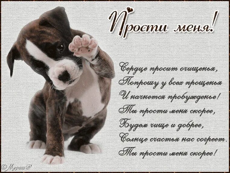 Как попросить прощения