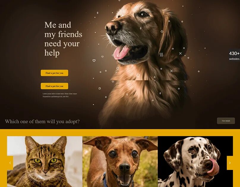 Pet Shelter. Shelter for Pets. Анимал шелтер. Animal Shelter poster. Animal shelter natural choice