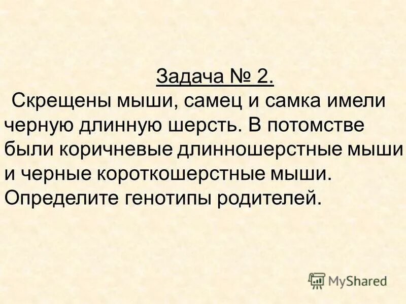 генотип мухи дрозофилы. скрещенные мыши самец и самка имели черную длинную шерсть. скрещивание дрозофил схема. доминантные признаки мыши. схема скрещивания крыс.