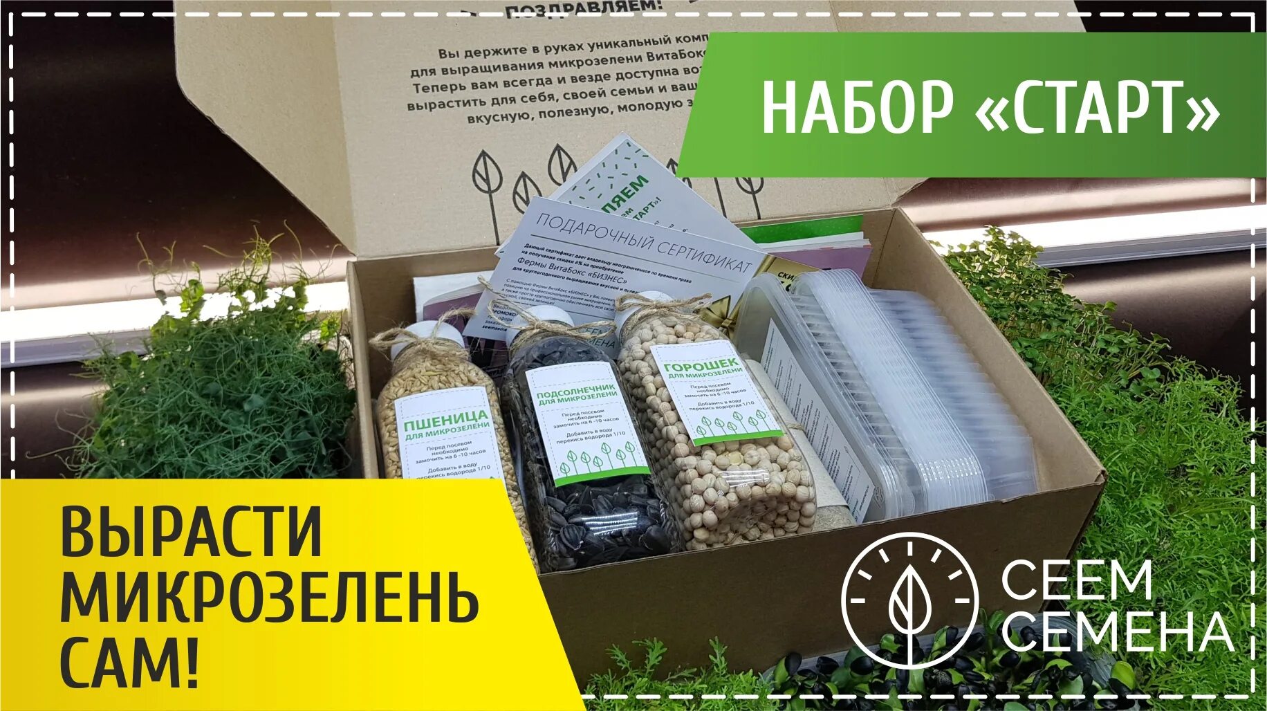 Инструкция по выращиванию микрозелени. Вырасти микрозелень сам набор. набор семян для микрозелени. набор для выращивания микрозелени. семена микрозелени.