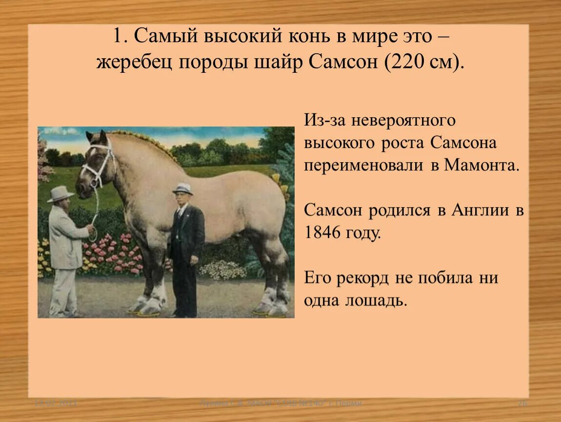 Большой конь 1846 года. Шайр лошадь презентация. Самый высокий конь размер. Самая большая лошадь в истории 1846. Имена самых высоких Жеребцов.