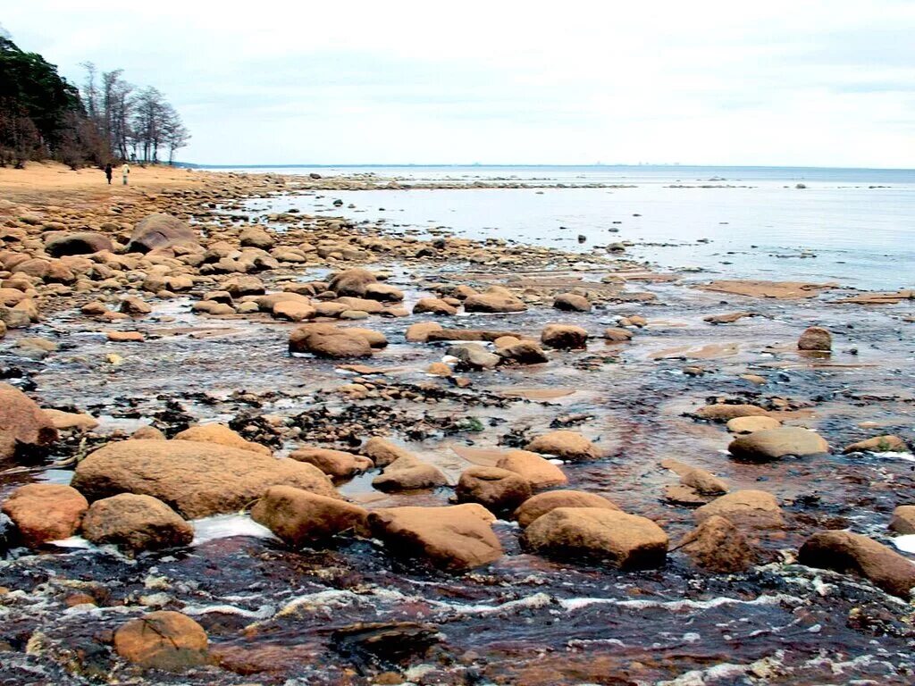 Финский залив соленая вода. Каменный берег валуны финский залив. Финский залив вода. Берег финского залива ноябрь. Хмурый финский залив.