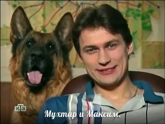 Возвращение мухтара. Возвращение мухтара мухтар. Хозяин мухтара. Возвращение мухтара мухтар. Возвращение мухтара мухтар.