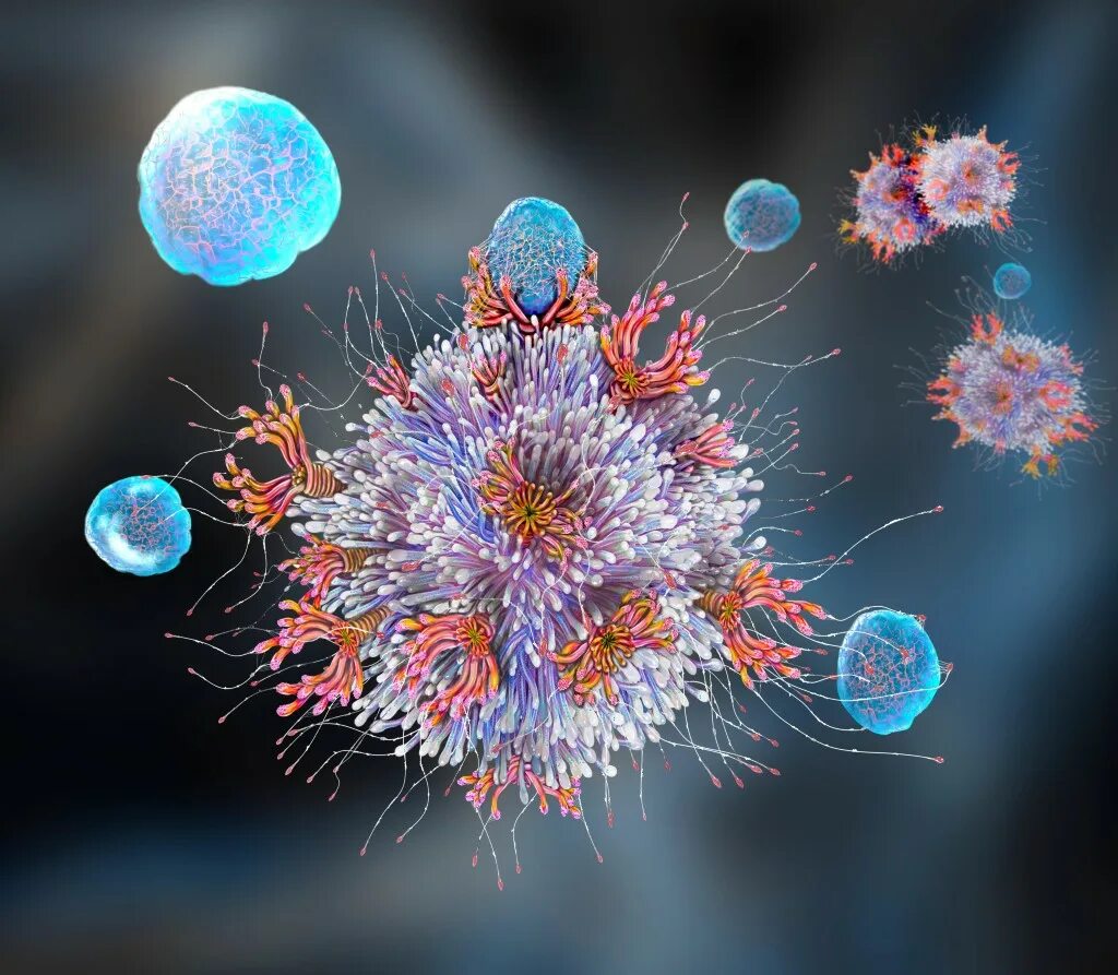 Регуляторные т-клетки картинки. Destroys viruses. Scientific photograph. Регуляторные т клетки